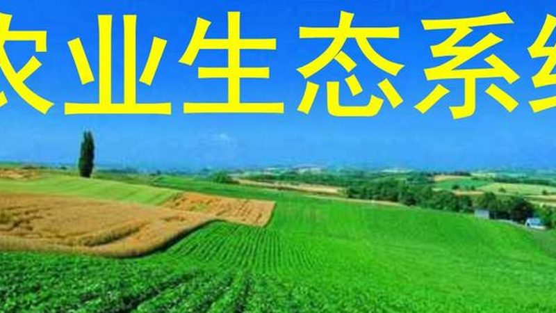 农业项目对比分析：如何避免误判与风险