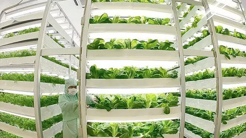家庭农场主必备：种植技术设备选购的三大误区解析