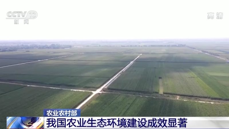 农民专业合作社加盟，如何选择合适的运营模式？**