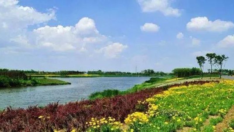 生态农业与现代农业：本质差异与融合趋势