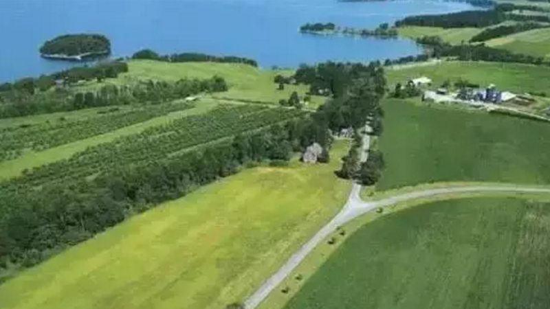 山东农业合作社崛起：探寻实力强的关键因素**