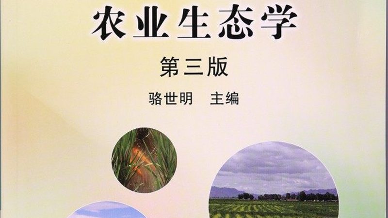 蔬菜批发哪家报价低