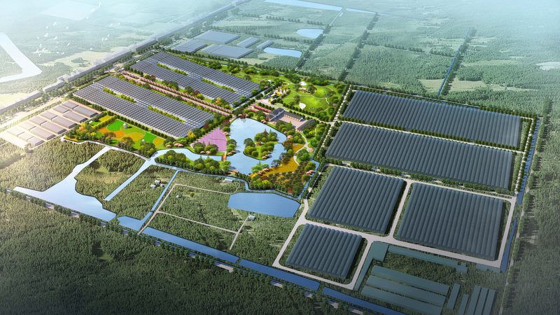 花卉玻璃温室大棚定制：揭秘其背后的科技与价值