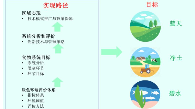 盆栽水果种植，修剪技巧图解详解