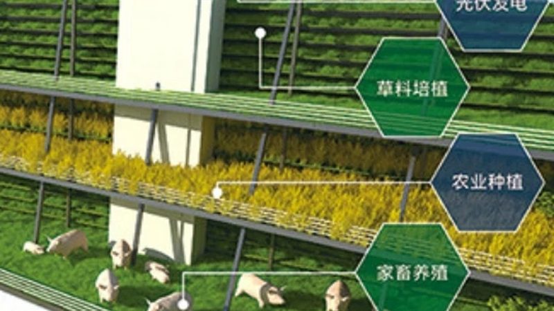 果蔬批发价格波动原因探析