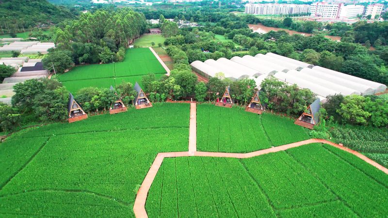 水果批发市场税收优惠申请方法解析