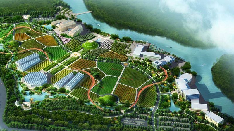 四川大棚蔬菜种植：技术革新与产业升级**