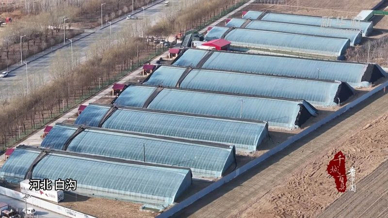 北京休闲农业观光园建设流程解析